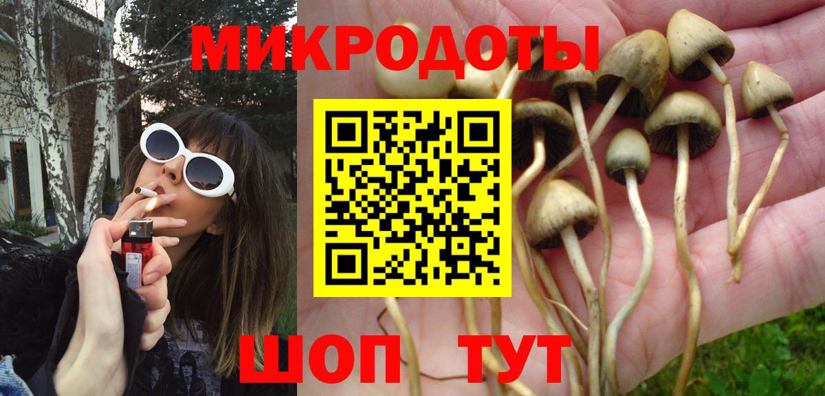 Сосновоборск  Псилоцибиновые грибы MAGIC MUSHROOMS  Вход с VPN  Псилоцибиновые грибы ЛСД 